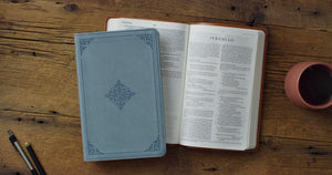 ESV VALUE THINLINE BIBLE (TRUTONE, PARIS SKY, FLEUR-DE-LIS DESIGN)