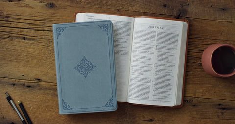 Image of ESV VALUE THINLINE BIBLE (TRUTONE, PARIS SKY, FLEUR-DE-LIS DESIGN)