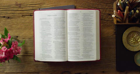 Image of ESV VALUE THINLINE BIBLE (TRUTONE, RASPBERRY, FLORAL DESIGN)