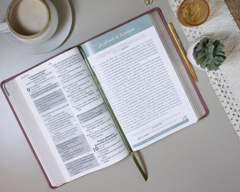 Image of Biblia RVR 1960 de Promesas Devocional Virtuosa Letra Gigante Piel Especial Rosa