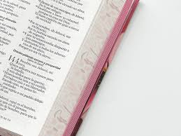 Image of Biblia RVR 1960 Letra GrandeTamaño Manual Tapa Dura Flor rosa Tapa Dura