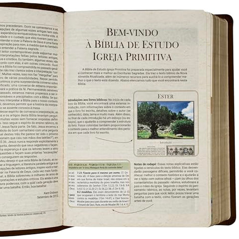Image of Bíblia Em Portugués NAA de Estudo Igreja Primitiva