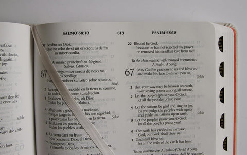 Image of Biblia RVR 1960 ESV  Bilingüe Letra Grande Tapa Dura Tela Índice