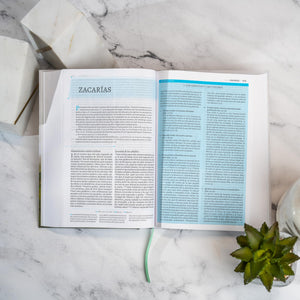 Biblia RVR 1960 de Estudio de César Vidal Tapa Dura