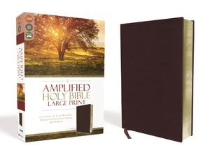 Amplified Holy Bible Large Print Bonded Leather Burgundy: Captures the Full Meaning Behind the Original Greek and Hebrew