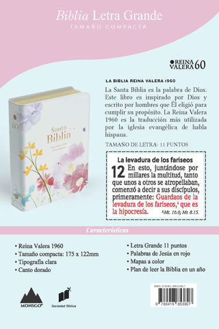 Image of Biblia RVR 1960 Compacta Letra Grande 11 puntos Símil Piel Azul Claro