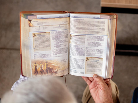 Image of Biblia NBLA Cronológica de Estudio