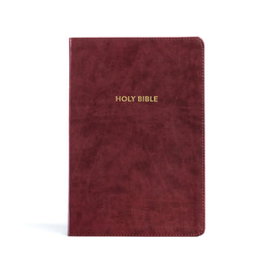 KJV RAINBOW STUDY BIBLE, BURGUNDY LT, IDX