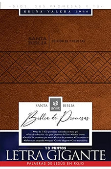 Biblia RVR 1960 de Promesas Letra Gigante Símil Piel Café con Cierre