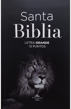 Biblia RVR 1960 Letra Grande Tamaño Manual Tapa Flex León