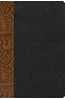 Biblia RVR 1960 de Estudio Arco Iris Tostado Negro Símil Piel