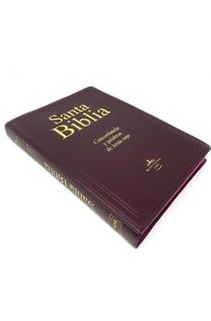 Biblia RVR 1960 Letra Grande con Concordancia